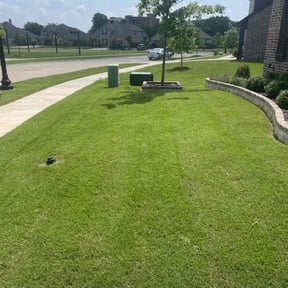 yard service by The Royal Gardeners reviewed on October 19, 2025