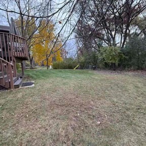 Leaf Removal by Lawn Barber Mowing reviewed on October 21, 2025