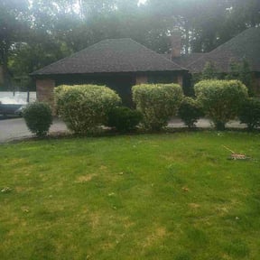 Bush Trimming by Rush Lawn Service reviewed on June 24, 2026