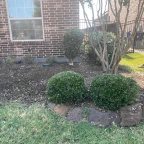 Bush Trimming by MS RANCH LANDSCAPING SERVICES reviewed on January 21, 2026