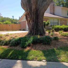 Flower Bed Weeding by Knuckles down and do it reviewed on April 17, 2026