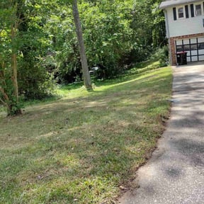 Leaf Removal by Lawn Care reviewed on September 7, 2025