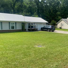 gardening service by The Green Spot reviewed on November 24, 2025