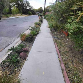 Flower Bed Weeding by Landscaping V&K. reviewed on August 17, 2025