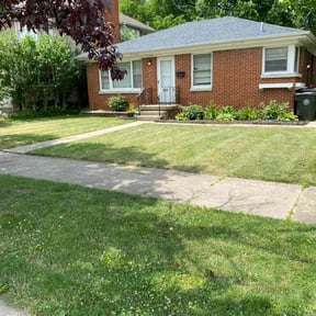 yard work by Not on my watch 2.0 reviewed on December 3, 2025