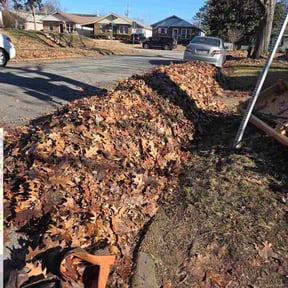 Leaf Removal by AYS Lawncare reviewed on August 5, 2026