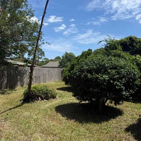 Bush Trimming by BMG HomeSolutions reviewed on July 23, 2026