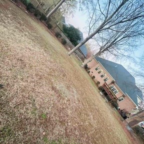 Bush Trimming by Montijo &amp; son reviewed on December 17, 2025