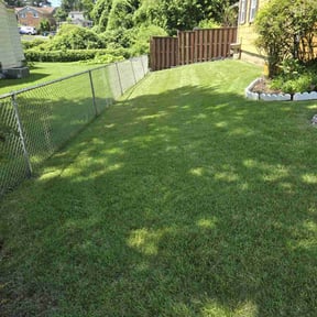 yard care by Greg's gardens reviewed on November 27, 2025