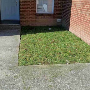 yard work by Delgado landscaping reviewed on November 20, 2025