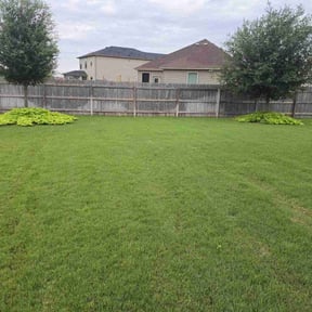 landscape maintenance by JNGLandscaping LLC reviewed on May 16, 2025