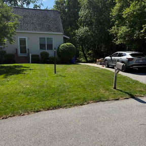 Bush Trimming by Brightside Landscaping Co reviewed on July 11, 2026