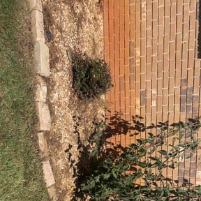 Flower Bed Weeding by Crispy Cuts Lawn Care reviewed on November 8, 2025