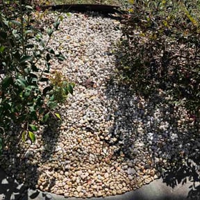 Flower Bed Weeding by Quick Cuts reviewed on July 17, 2025