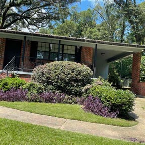 Bush Trimming by The Grass Guy reviewed on November 22, 2025