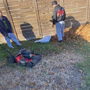 Mulching by pte llc reviewed on May 10, 2019