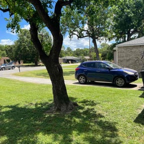residential landscaping by Paint by Ponch reviewed on August 16, 2025