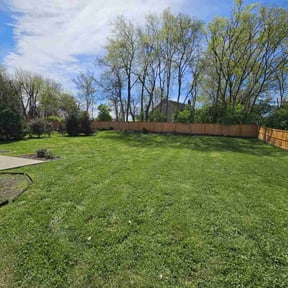 yard work by Mark Sjostrom reviewed on August 15, 2025
