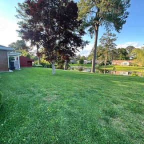 yard maintenance by Two Brother's Lawncare llc reviewed on August 17, 2025