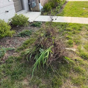 Flower Bed Weeding by Davis Lawn and Leaf reviewed on July 15, 2026