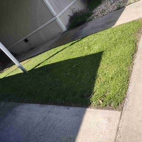 turf care by Js Lawn Care reviewed on May 16, 2024