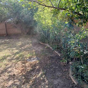 Bush Trimming by Jim’s lawn’s l l c reviewed on November 23, 2025