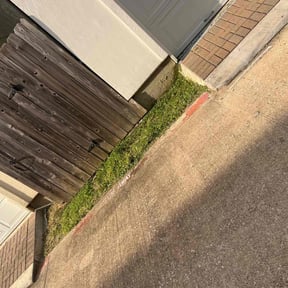 Bush Trimming by Lawn Care Rx reviewed on November 27, 2025