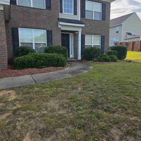 Bush Trimming by AB Flores Landscaping reviewed on October 22, 2025