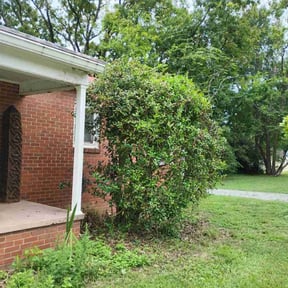 Bush Trimming by 3DM reviewed on December 11, 2025