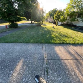 turf care by Finns landscaping reviewed on September 10, 2023