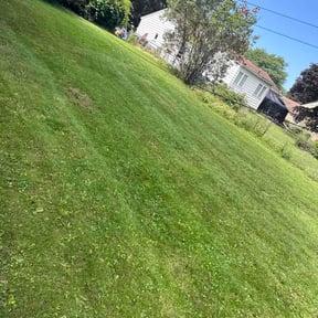 Leaf Removal by Willie's Mobile Lawn Services reviewed on August 18, 2026