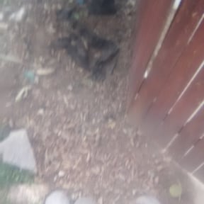 Flower Bed Weeding by La Costa Irrigation & Landscaping LLC reviewed on August 14, 2025