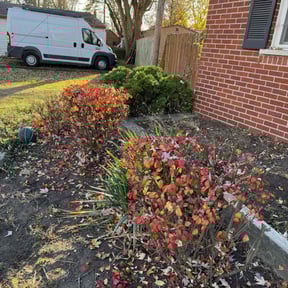 Bush Trimming by Lee&#039;s lawn care reviewed on October 22, 2025
