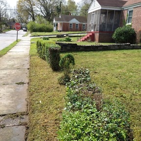 Bush Trimming by Nick’s lawn service reviewed on August 15, 2025