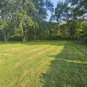 yard maintenance by Precision Lawn Care reviewed on November 26, 2025