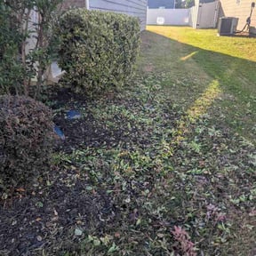 Bush Trimming by Phillips Lawn Care reviewed on April 28, 2026