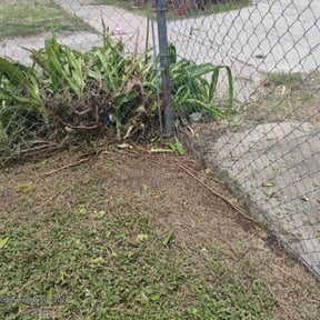 Bush Trimming by Cutting Under Pressure reviewed on August 17, 2025