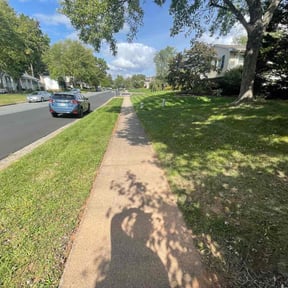 yard service by Bearded landscaping reviewed on August 18, 2025