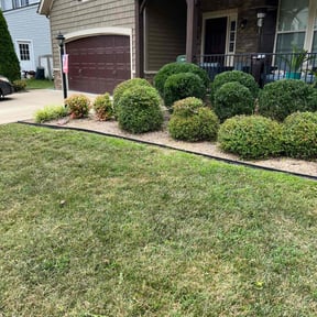Bush Trimming by Clean Green Lawn Care reviewed on August 18, 2025