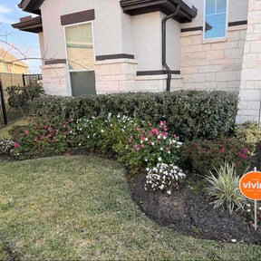 Bush Trimming by Works of Art Lawn &amp; Landscape reviewed on November 20, 2025