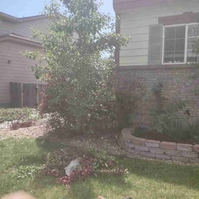 Bush Trimming by Epic Lawn Care reviewed on May 26, 2026