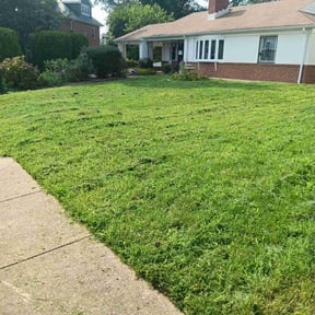 grass cutting by Crop Circle Lawn &amp; Property Maintenance reviewed on November 8, 2023