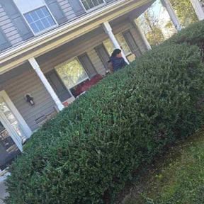 Bush Trimming by Marroquín Landscaping LLC reviewed on November 10, 2025