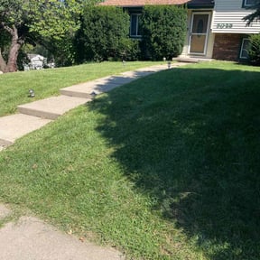 yard maintenance by Precision Landscaping & more reviewed on August 17, 2025
