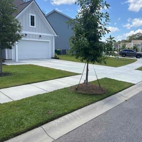 turf care by Mott's lawns reviewed on July 8, 2020