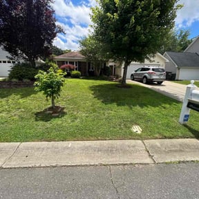 landscaping services by Tammy Becker Pool and Lawn Care reviewed on August 15, 2025