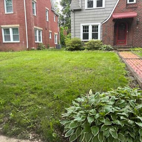 Flower Bed Weeding by EZ Improvements reviewed on May 28, 2026