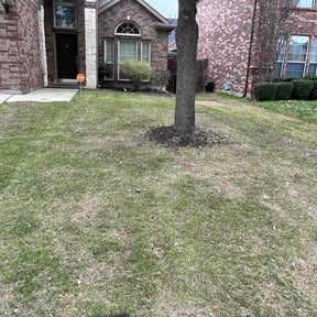 Leaf Removal by Agriserve Landscape Management reviewed on August 27, 2026