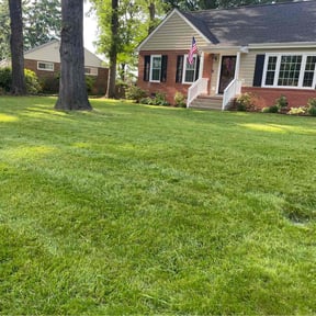 yard care by Greeley Greenscapes reviewed on May 1, 2024