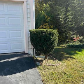 Bush Trimming by R Duke Builders reviewed on November 18, 2025